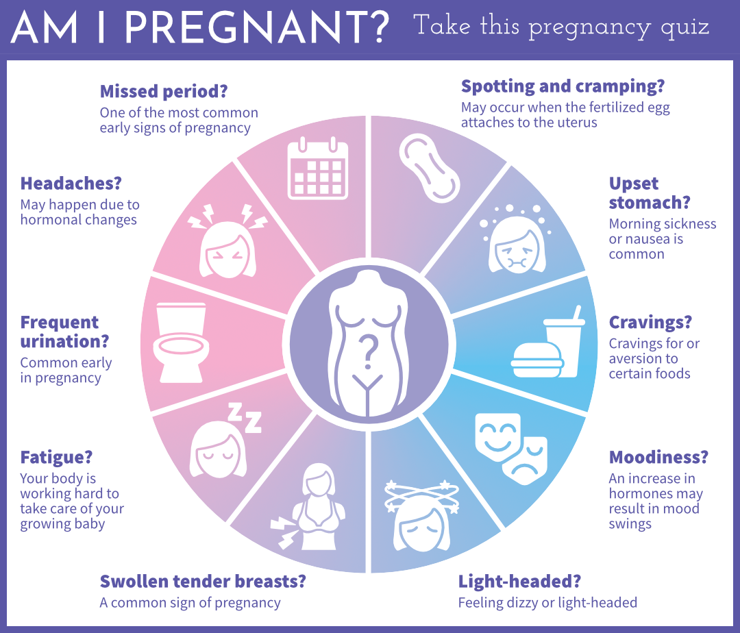 Pregnancy Quiz Infographic